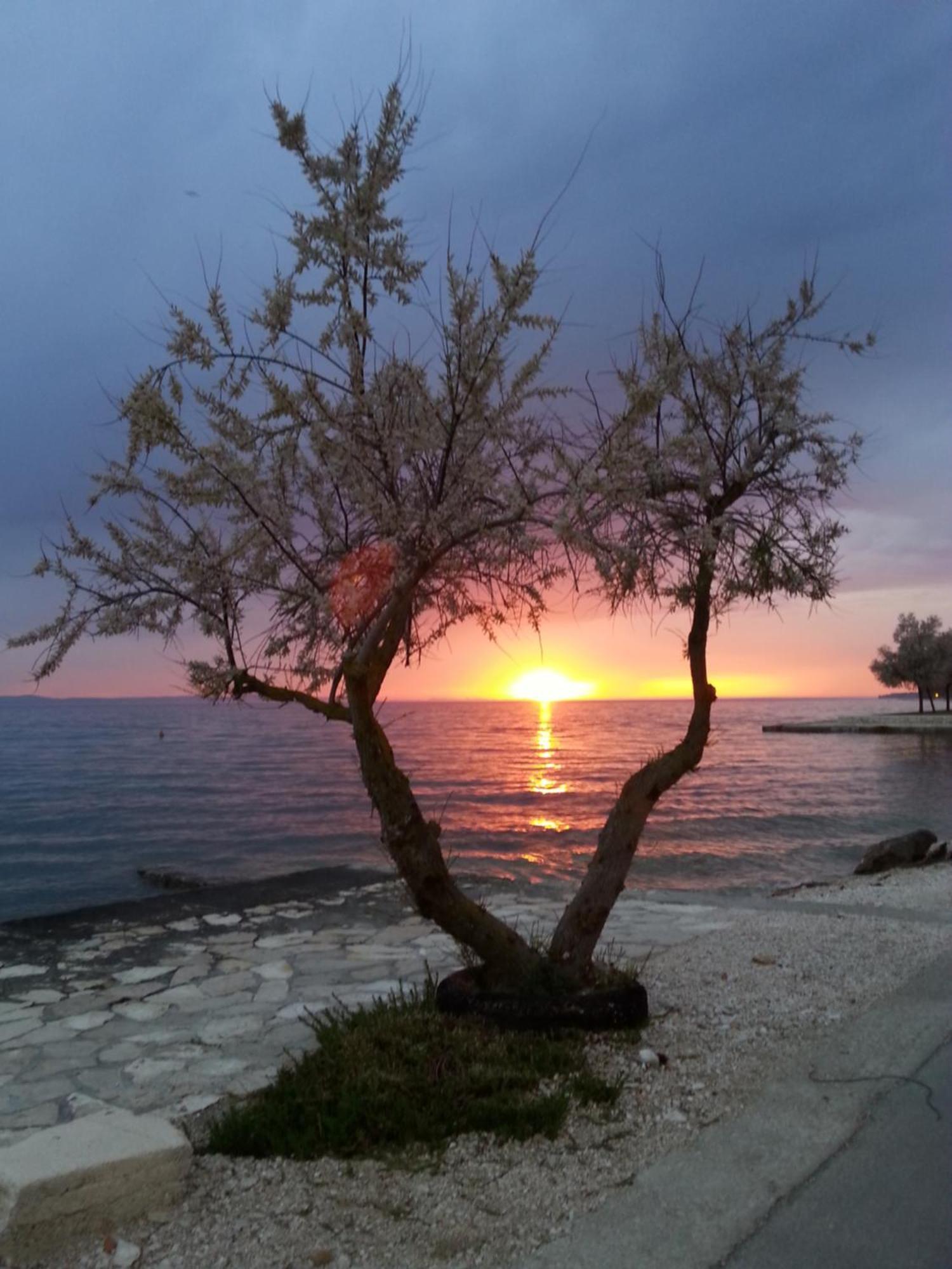 Apartmani Basioli Zadar Exterior foto